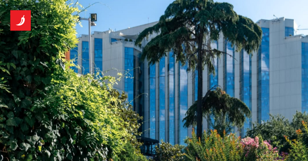 Vedran Pavlek više nije u Turskoj. Ovo je luksuzni hotel u kojem se skrivao Vedran Pavlek više nije u Turskoj. Ovo je luksuzni hotel u kojem se skrivao