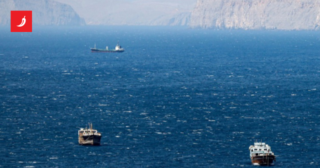 Zadnji iranski napadi razotkrili ulogu “flote komaraca” kao ključne taktike Zadnji iranski napadi razotkrili ulogu "flote komaraca" kao ključne taktike