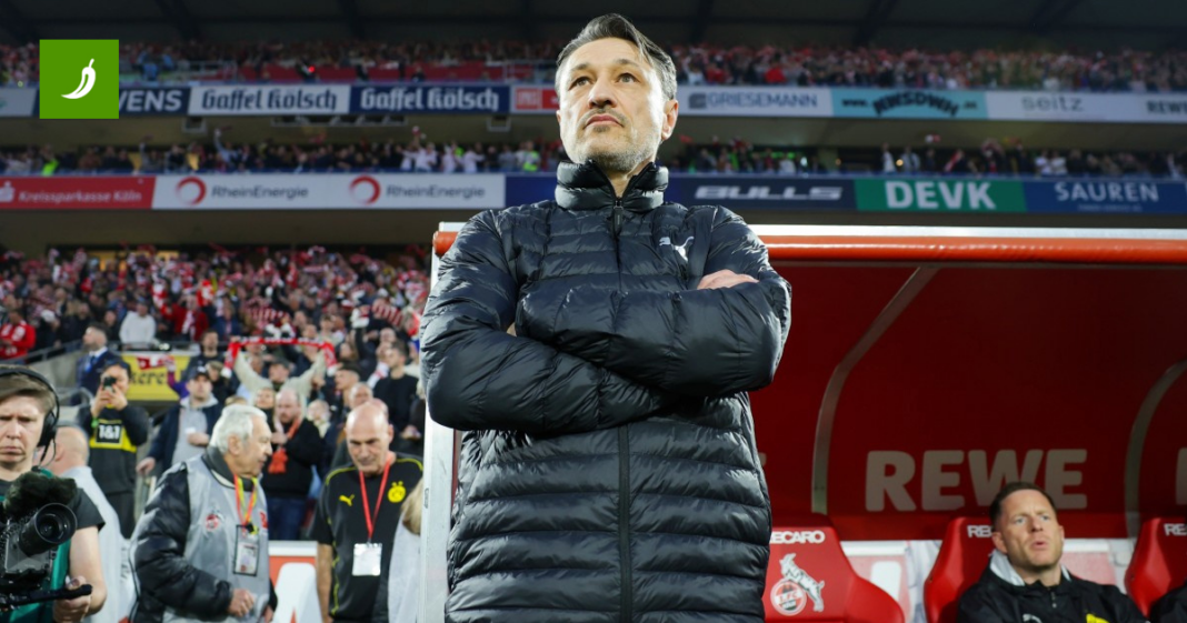 Niko Kovač: Vjerujem u Boga i da se život nastavlja nakon smrti Niko Kovač: Vjerujem u Boga i da se život nastavlja nakon smrti