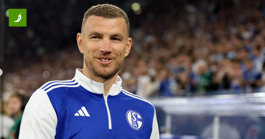 Sportski direktor Schalkea o Džeki: A zašto ne bi ostao? Sportski direktor Schalkea o Džeki: A zašto ne bi ostao?