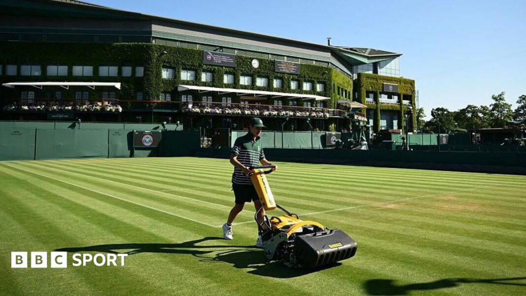 Wimbledon 2026: Koja su pravila takmičenja na turniru? AMA banner