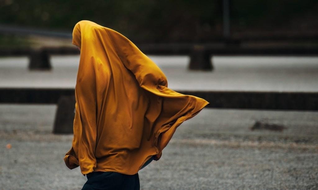 ISTINE I LAŽI OISLAMU U EVROPI: Islam nije problem; islamizam može biti ISTINE I LAŽI OISLAMU U EVROPI: Islam nije problem; islamizam može biti